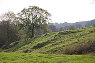 Bodensenke