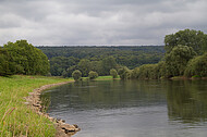 Weserufer bei Corvey