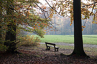 Sitzbänke im Herbstwald