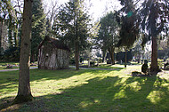 Friedhof im Gegenlicht