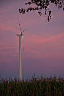 Windkraft im Sonnenuntergeng