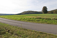 Solitär