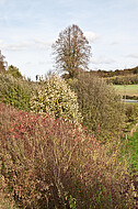 Herbstszene