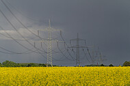 Rapsfeld vor Gewitter