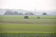 Blick über Kohlfeld