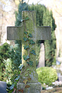 Großes Steinkreuz mit Efeu