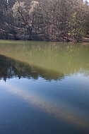 Schatten auf Teich