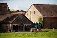 Bauernhof mit Pferden