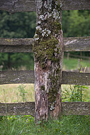 Weidezaun auz Holz