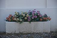 Französischer Friedhof