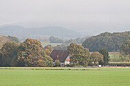 Kleiner Wald