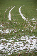 Schneespuren auf grünem Acker