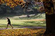 Bürgerpark