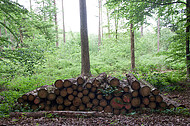 Holzstapel