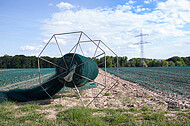 Abgedecktes Kohlrabifeld