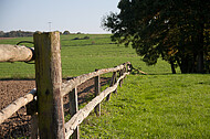 Holzweidezaun