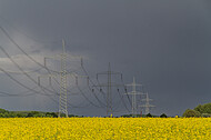 Rapsfeld vor Gewitter