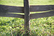 Holzweidezaun