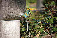 Grabstein mit Schmetterling