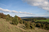 Herbsttag