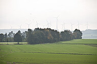 Blick über Kohlfeld