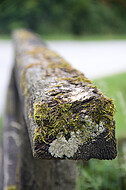 Weidezaun auz Holz