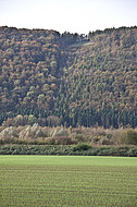 Bewaldeter Bergrücken