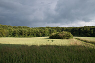 Nahendes Gewitter