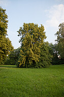 Uferflächen Johannesbach