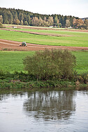 Bäume an Weserufer