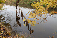 Herbstfluß