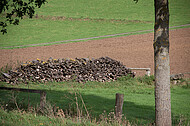 Brennholzstapel