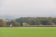 Kleiner Wald