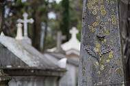 Friedhof Lissabon