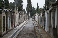 Friedhof Lissabon