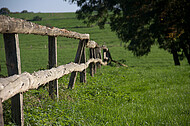 Holzweidezaun
