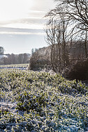 Winterland