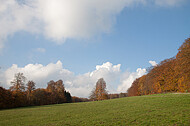 Herbstsolitär