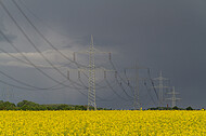 Rapsfeld vor Gewitter