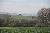 Blick über Kohlfeld
