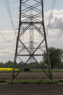 Überlandleitung hinter Rapsfeld