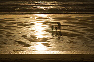 Sonnenuntergang am Atlantik