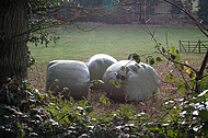 Drei Silageballen