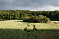 Nahendes Gewitter