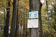 Herbstwald