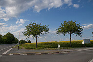 Straßenkreuzung am Rapsfeld