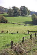 Weidezaun mit Holzpfosten