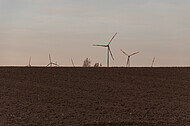 Windkraft im Sonnenuntergeng