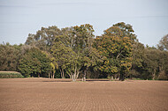 Roter Ackerboden