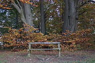 Sitzbänke im Herbstwald